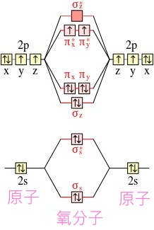 Valence_orbitals_of_oxygen_atom_and_dioxygen_molecule_(diagram).jpg